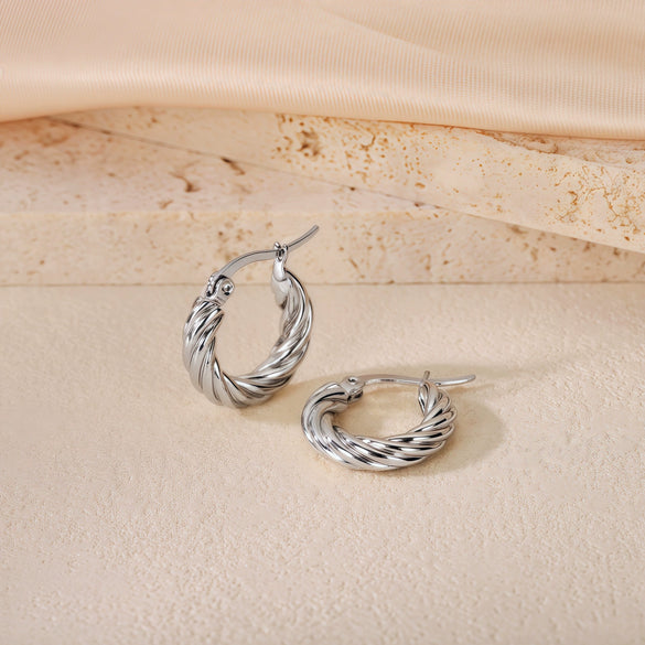 Wholesale Titanium Steel Women's Geometric Earrings Fashion Elegant Stereo Highend Polish Style
