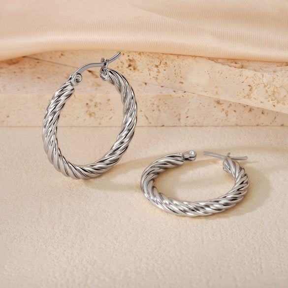 Wholesale Titanium Steel Women's Geometric Earrings Fashion Elegant Stereo Highend Polish Style
