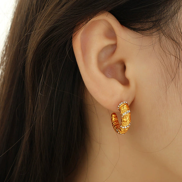 Wholesale 316L Stainless Steel Women's Jewelry Electroplated C Type Hemp Pattern Diamond Earrings