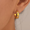 Wholesale 316L Stainless Steel Zircon Cshaped Geometric Earrings 18K Goldplated Simple Cold Style For Women