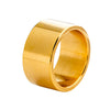 Wholesale Unisex Punk Style Geometric Titanium Steel Ring With Electroplating Treatment