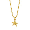 Wholesale Unisex Stainless Steel Geometric Starfish Pendant Necklace With Electroplating And Bead Chain