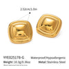 Wholesale Unisex Stainless Steel Titanium Steel Color Matching Square Geometric Earrings Highend Retro Style Pvd Vacuum Real Gold Electroplating Nonfading