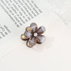 Wholesale Women's Alloy Electroplated Plants And Flowers Style Hair Clip