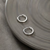 Wholesale Women's Alloy Geometric Hoop Earrings With Electroplating