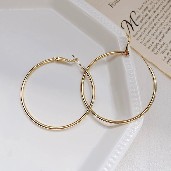 Wholesale Women's Alloy Geometric Hoop Earrings With 925 Silver Needle And Electroplating