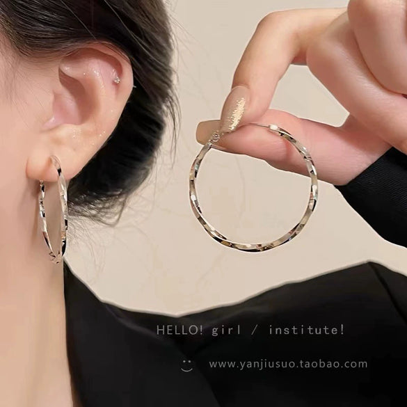 Wholesale Women's Alloy Geometric Hoop Earrings With 925 Silver Needle And Electroplating