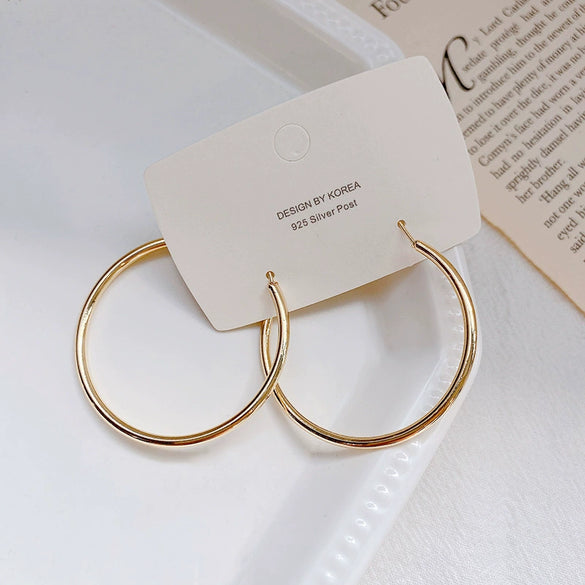 Wholesale Women's Alloy Geometric Hoop Earrings With 925 Silver Needle And Electroplating