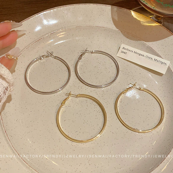 Wholesale Women's Alloy Geometric Round Plain Hoop Earrings With Electroplating