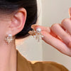 Wholesale Women's Copper Electroplated Maple Leaf Zircon Earrings Light Luxury Exquisite Highend Elegant Fashion Allmatch