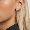 Wholesale Women's Electroplated Geometric Ushape Stainless Steel Earrings