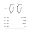 Wholesale Women's Elegant Geometric S925 Sterling Silver Zircon Earrings