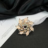 Wholesale Women's Flower Shape Zinc Alloy Electroplated Cat's Eye Stone Bauhinia Brooch Clothing Accessories