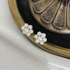 Wholesale Women's Freshwater Pearl S925 Silver Needle Elegant Minimalist Fashion Earrings With Flat Round Rose Buns Round Oblate Shape
