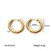 Wholesale Women's Geometric Hoop Stainless Steel Electroplated Earrings