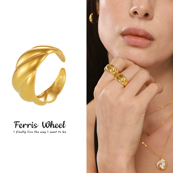 Wholesale Women's Geometric Sshaped Light Luxury Stainless Steel Electroplated Ferris Wheel Ring