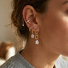 Wholesale Women's Geometric Stainless Steel And Titanium Steel Earrings With Vacuum Real Gold Plating