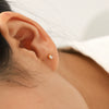 Wholesale Women's Geometric Stainless Steel Earrings Set With Zirconia In Plants Flowers Style