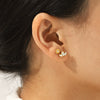 Wholesale Women's Geometric Stainless Steel Earrings Set With Zirconia In Plants Flowers Style