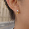 Wholesale Women's Geometric Stainless Steel Electroplated Cshaped Earrings