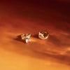 Wholesale Women's Geometric Stainless Steel Electroplated Earrings And Ear Studs Jewelry
