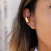 Wholesale Women's Geometric Stainless Steel Electroplated Earrings Classic Style Jewelry