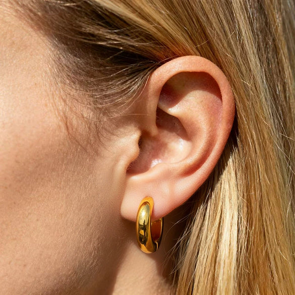 Wholesale Women's Geometric Stainless Steel Electroplated Earrings Luxury Highend Jewelry
