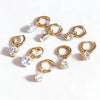Wholesale Women's Geometric Stainless Steel Electroplated Earrings Niche Design