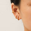 Wholesale Women's Geometric Stainless Steel Electroplated Earrings
