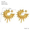 Wholesale Women's Geometric Stainless Steel Electroplated Earrings