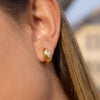 Wholesale Women's Geometric Stainless Steel Electroplated Eggshaped Zircon Earrings