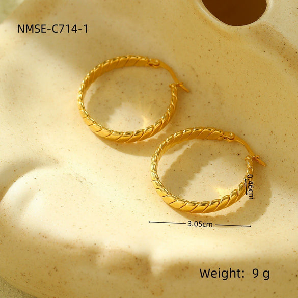 Wholesale Women's Geometric Stainless Steel Electroplated Hoop Earrings In Minimalist Light Luxury Style