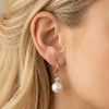 Wholesale Women's Geometric Stainless Steel Electroplated Original Design Earrings