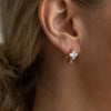 Wholesale Women's Geometric Stainless Steel Electroplated Zirconinlaid Earrings Hoops Fashion Ear Accessories