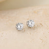 Wholesale Women's Geometric Stainless Steel 18K Gold Electroplated Round Zircon Earrings