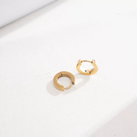 Wholesale Women's Geometric Titanium Steel Electroplated Earrings