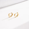 Wholesale Women's Geometric Titanium Steel Electroplated Earrings