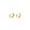 Wholesale Women's Geometric Titanium Steel Electroplated Earrings