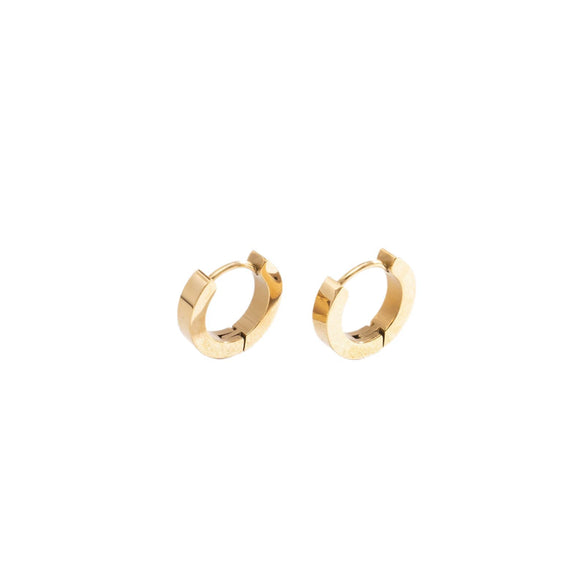 Wholesale Women's Geometric Titanium Steel Electroplated Earrings
