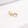 Wholesale Women's Geometric Titanium Steel Electroplated Earrings