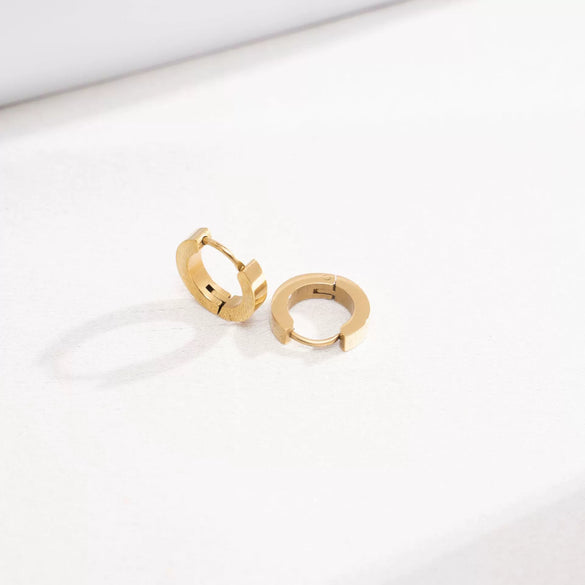 Wholesale Women's Geometric Titanium Steel Electroplated Earrings