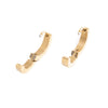 Wholesale Women's Geometric Titanium Steel Electroplated Earrings