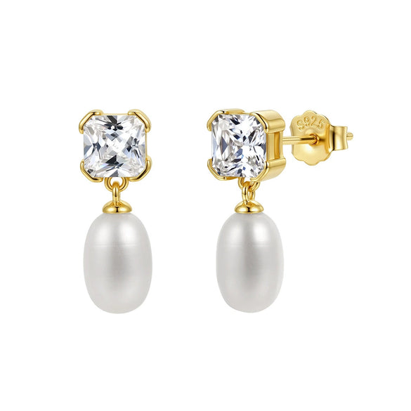 Wholesale Women's Geometric Zirconia 925 Silver Earrings