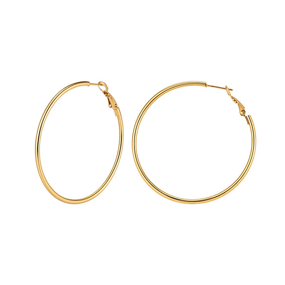 Wholesale Women's Glamorous Geometric Stainless Steel Electroplated Earrings With Original Design