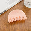 Wholesale Women's Handmade Acetic Acid Hair Clips Small Fresh Style