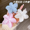 Wholesale Women's Highend Plastic And Resin Hair Gripper With Flower Design And Baking Paint Process