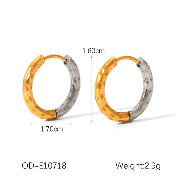 Wholesale Women's Hoop Earrings Stainless Steel Titanium Steel Geometric Pvd Vacuum Plating