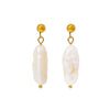 Wholesale Women's Ins Style Minimalist Star Pattern Stainless Steel Earrings With Shell And Pearl Pendant 18K Gold Plated