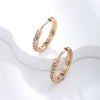 Wholesale Women's Jewelry Copper Alloy 18K Gold Plated Multizircon Earrings