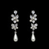 Wholesale Women's Light Luxury Copper Earrings With Imitation Pearl Flower And Leaf Drop Shape And Zircon Design
